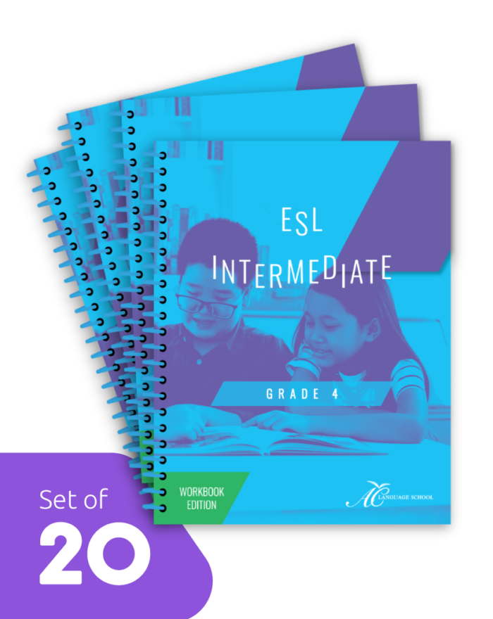 VW | Set of 20 | Intermediate English Grammar ESL