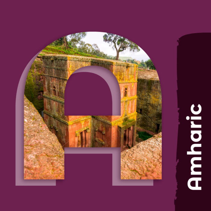 Amharic | Foreign Language | Online Courses