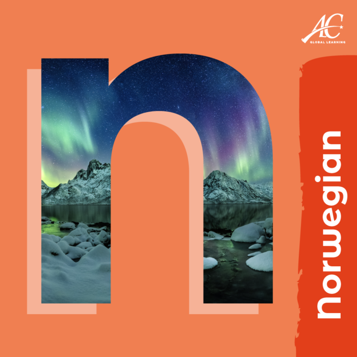 Norwegian | Foreign Language | Online Courses