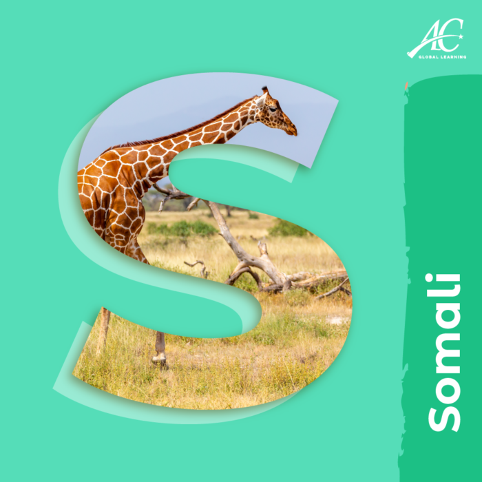 Somali | Foreign Language | Online Courses