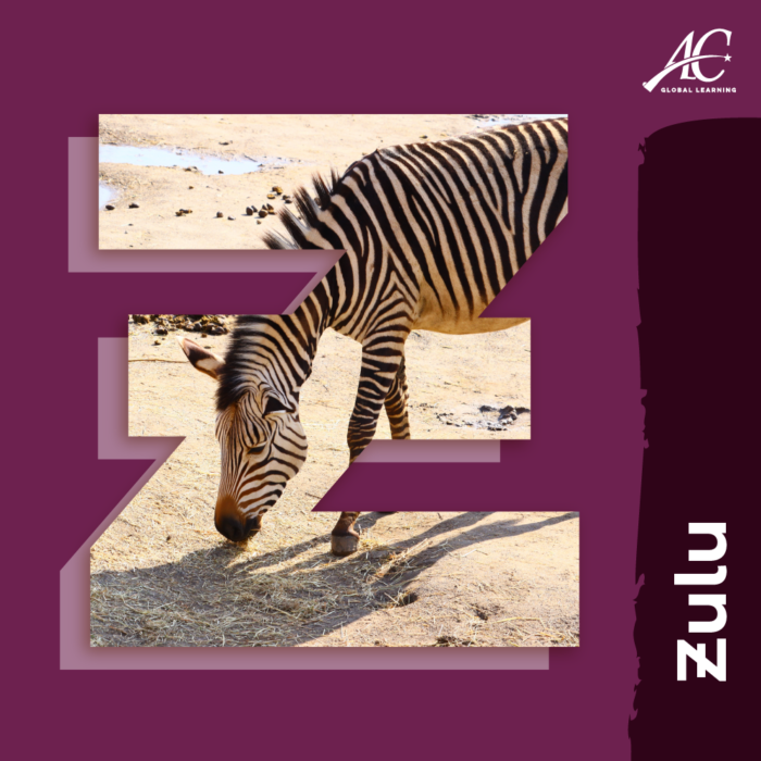 Zulu | Foreign Language | Online Courses