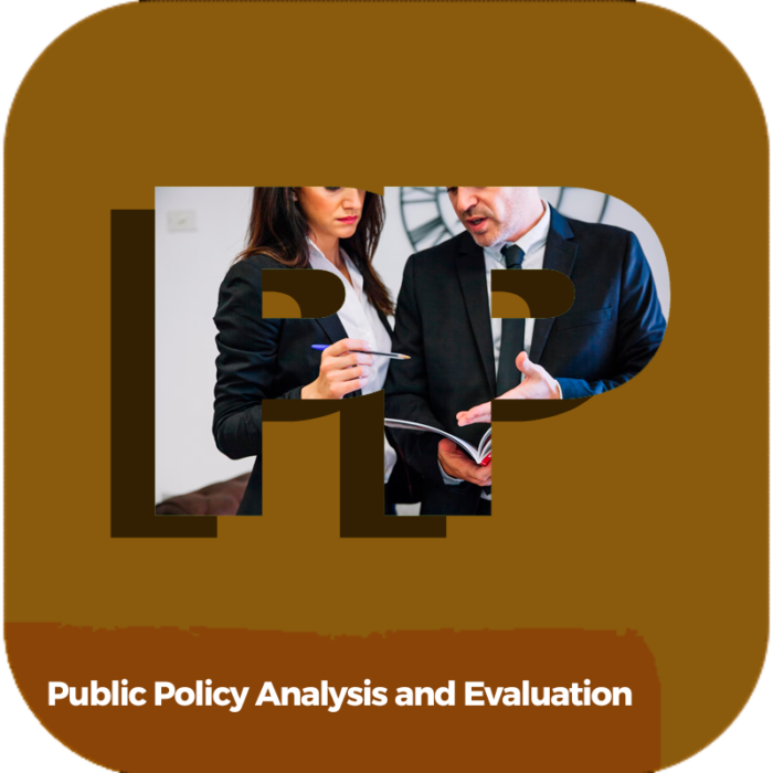 Public Policy Analysis and Evaluation