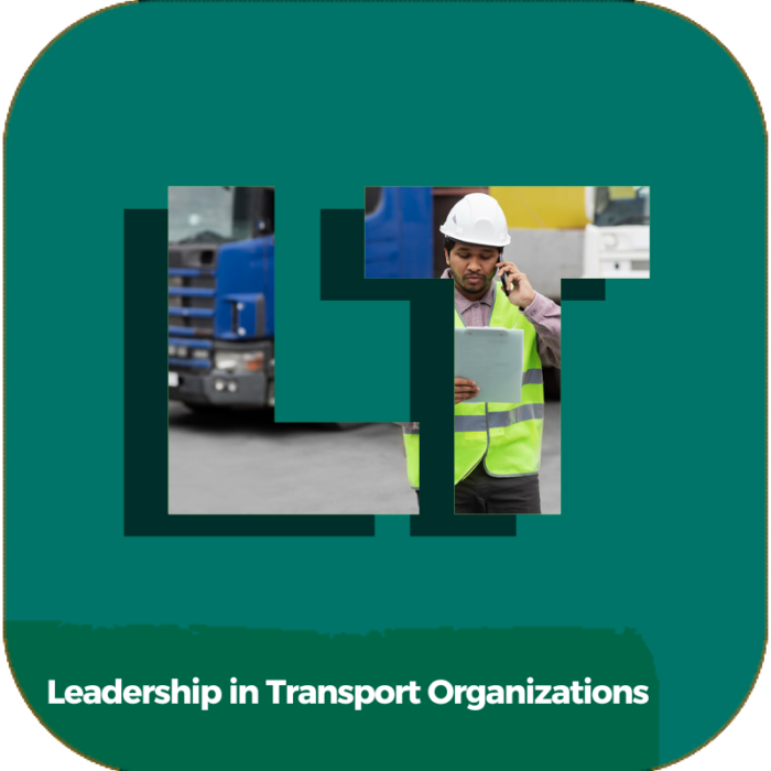 Leadership in Transport Organizations | Transportation | Online Courses