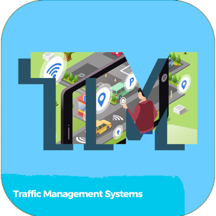 Traffic Management Systems | Transportation | Online Courses