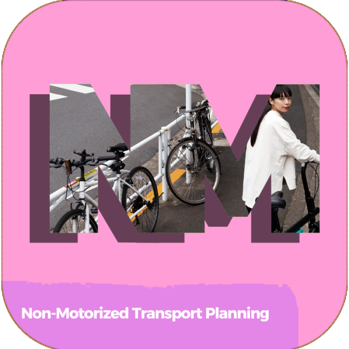 Non-Motorized Transport Planning | Transportation | Online Courses
