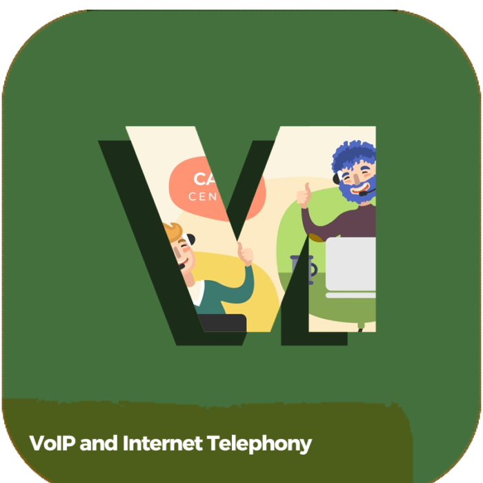 VoIP and Internet Telephony | Transportation | Online Courses