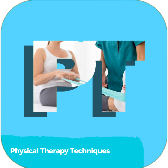 Physical Therapy Techniques | Health Care | Online Courses