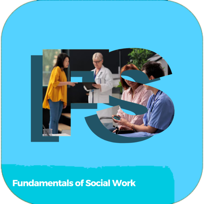 Fundamentals of Social Work | Health Care | Online Courses