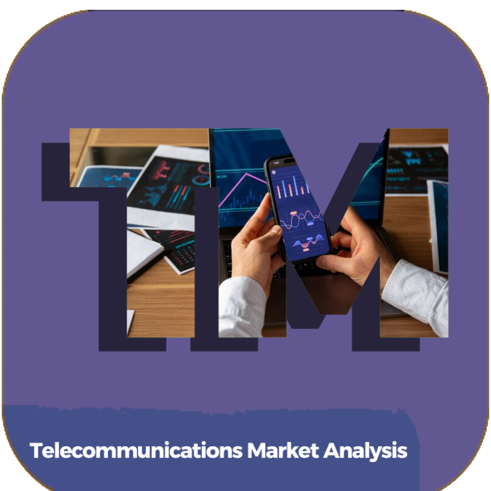 Telecommunications Market Analysis | Transportation | Online Courses