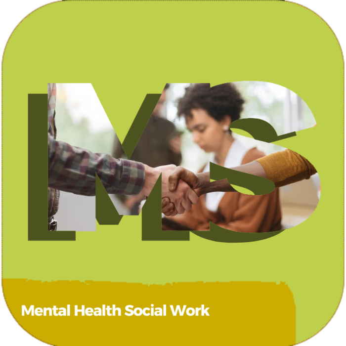 Mental Health Social Work | Health Care | Online Courses
