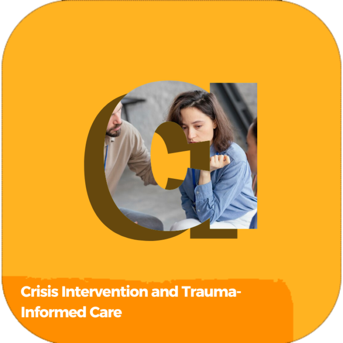 Crisis Intervention and Trauma-Informed Care | Health Care | Online Courses