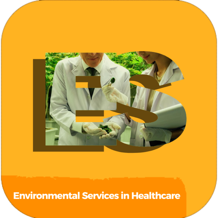Environmental Services in Healthcare | Health Care | Online Courses