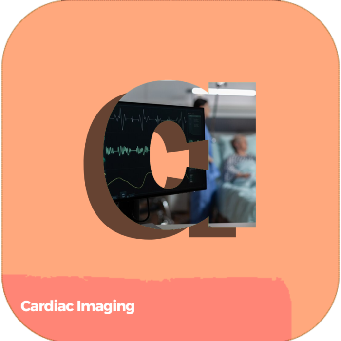 Cardiac Imaging | Health Care | Courses