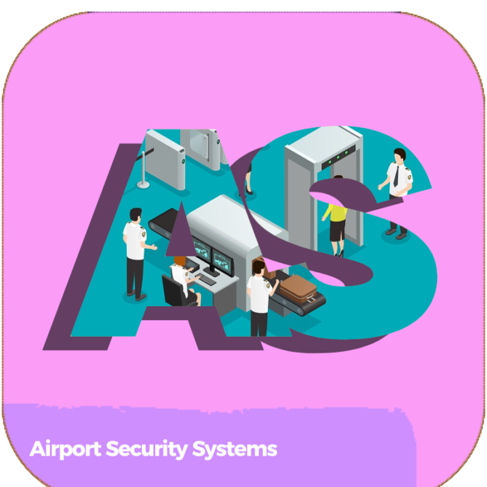 Airport Security Systems | TRANSPORTATION | ONLINE COURSES