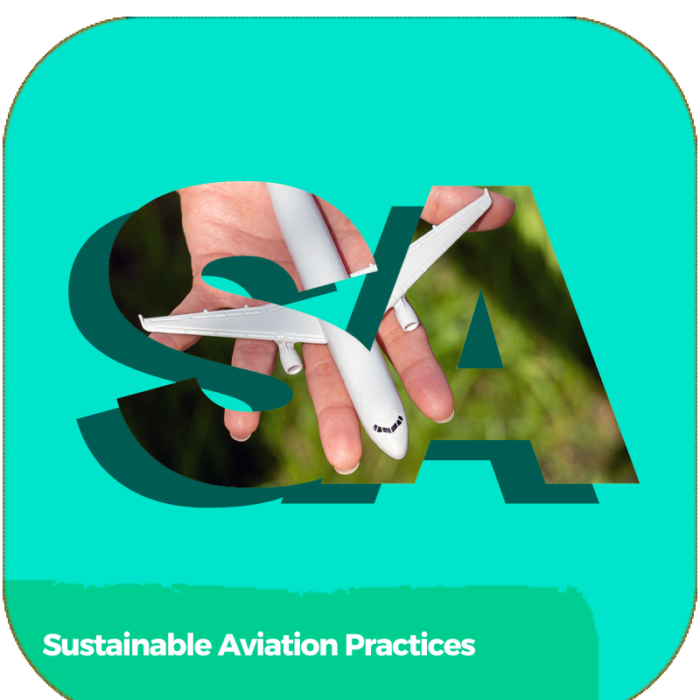 Sustainable Aviation Practices | TRANSPORTATION | ONLINE COURSES