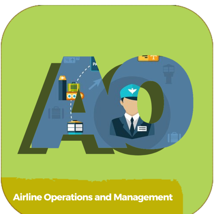Airline Operations and Management | TRANSPORTATION | ONLINE COURSES