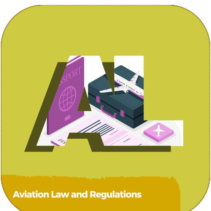 Aviation Law and Regulations | TRANSPORTATION | ONLINE COURSES