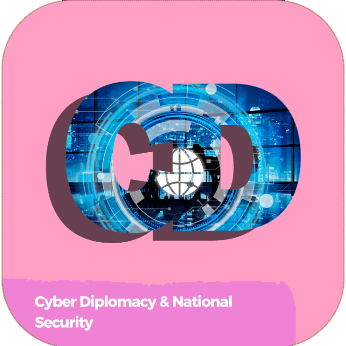 Cyber Diplomacy & National Security | Global Diplomacy & Leadership Excellence