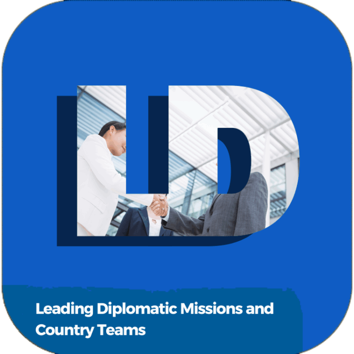 Leading Diplomatic Missions and Country Teams | Global Diplomacy & Leadership Excellence