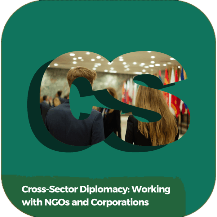 Cross-Sector Diplomacy: Working with NGOs and Corporates | Global Diplomacy & Leadership Excellence