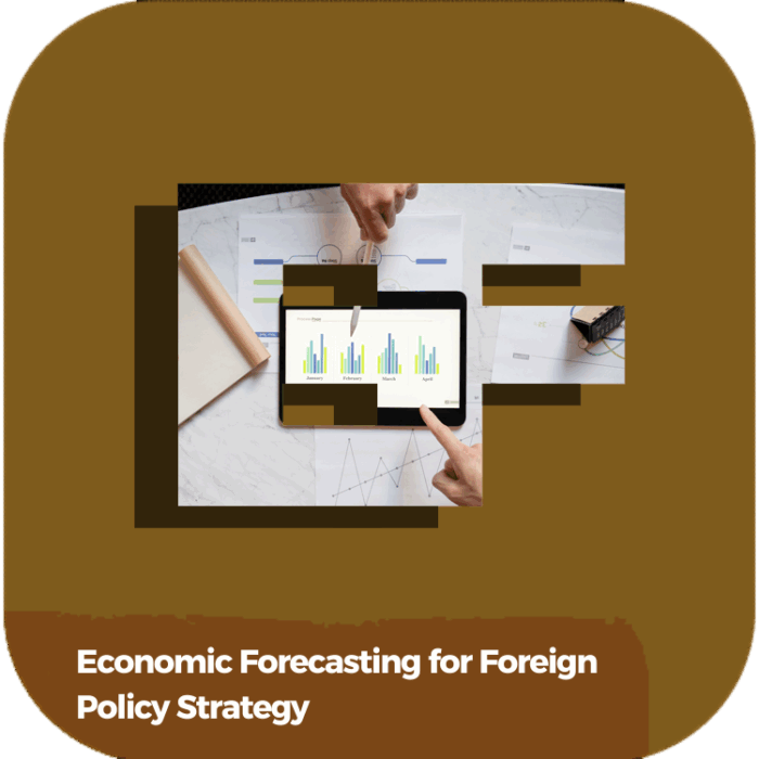 Economic Forecasting for Foreign Policy Strategy | Global Diplomacy & Leadership Excellence