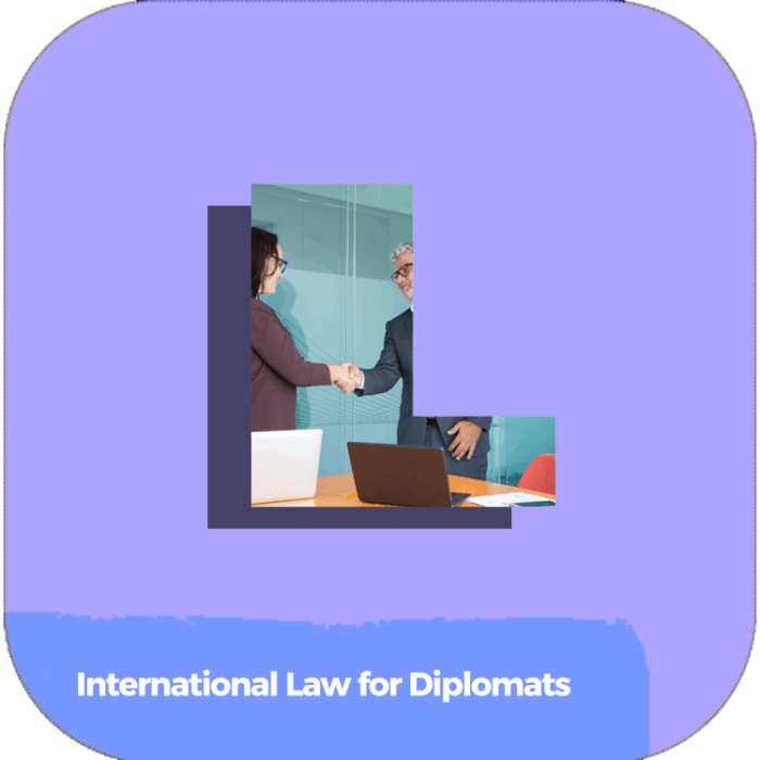 International Law for Diplomats | Global Diplomacy & Leadership Excellence